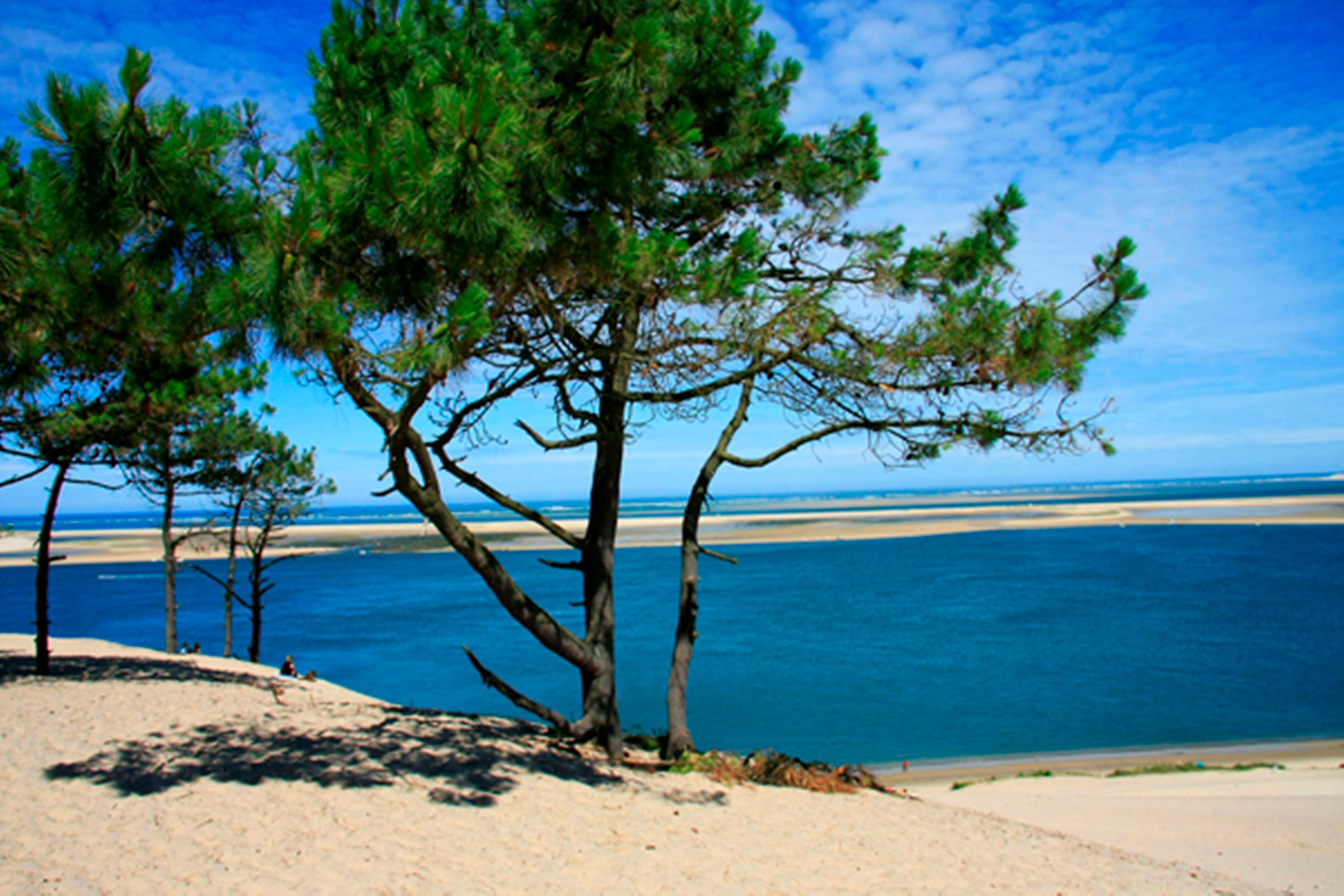 Holiday Inn Bordeaux Sud - Pessac By Ihg Esterno foto